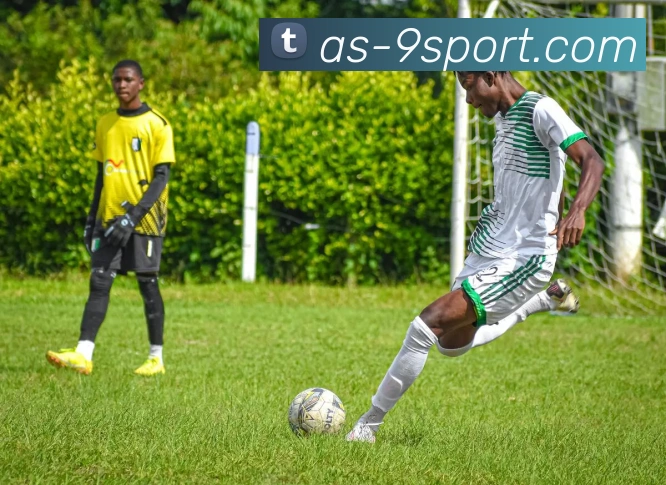 九游体育官网平台生态图